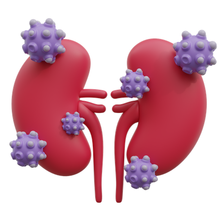 Kidney Cancer  3D Icon