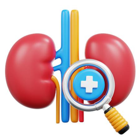 Kidney Check  3D Icon