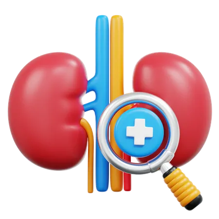 Kidney Check  3D Icon