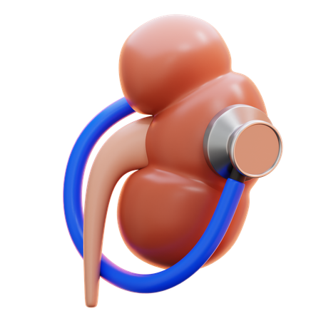 Kidney check  3D Icon