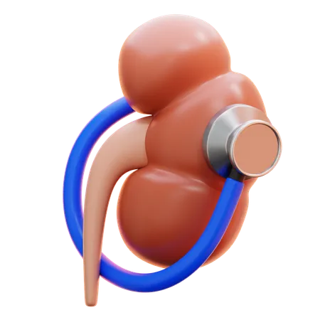 Kidney check  3D Icon