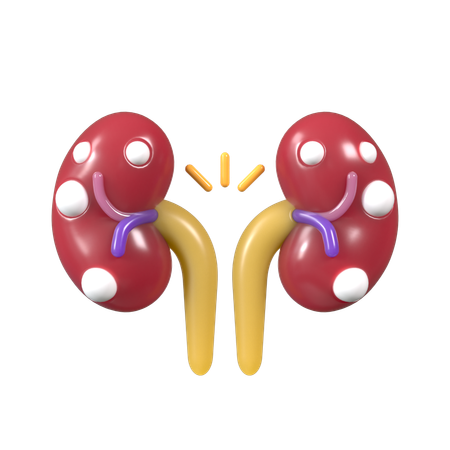 Kidney checkup  3D Icon