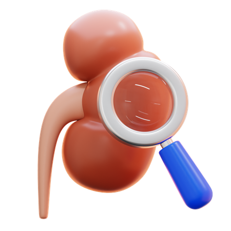 Kidney checkup  3D Icon