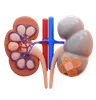 kidney disease