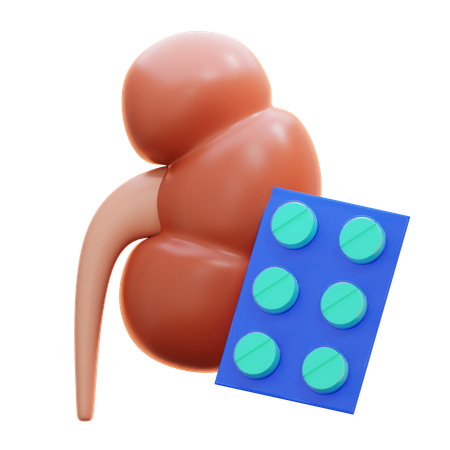 Kidney disease medicine  3D Icon