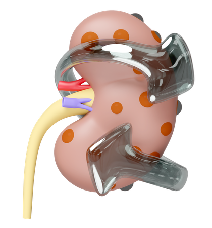 Kidney Disease Prevention  3D Icon
