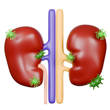 Kidney Diseases  3D Icon