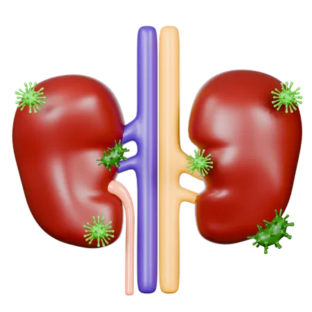 Kidney Diseases  3D Icon