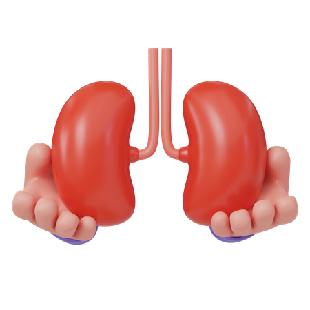 Kidney Donate  3D Icon