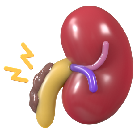 Kidney fail  3D Icon