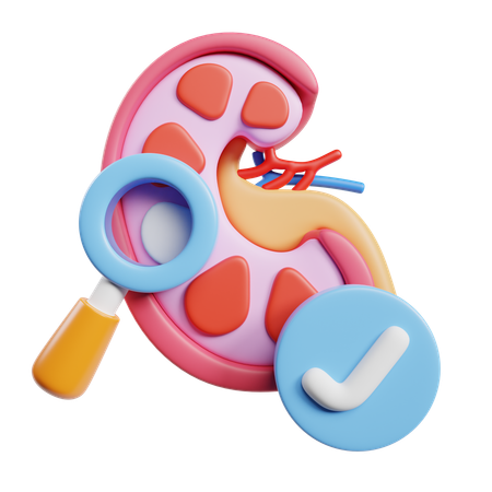 腎機能検査  3D Icon