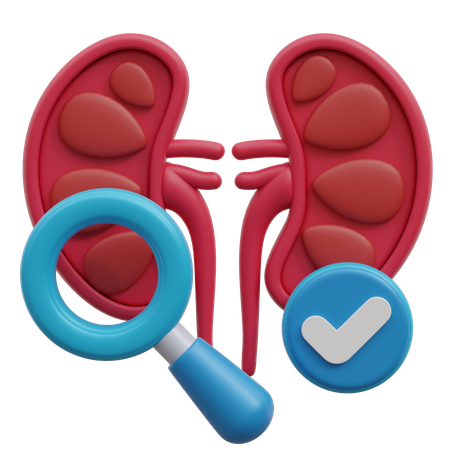 Kidney Function Test  3D Icon