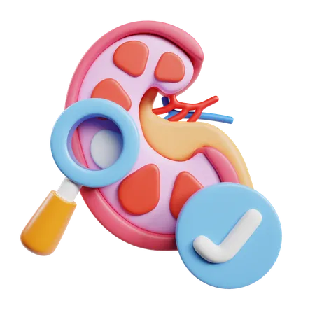 Kidney Function Test  3D Icon
