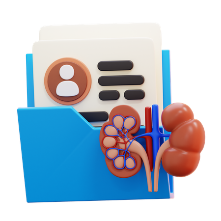 Kidney health report  3D Icon