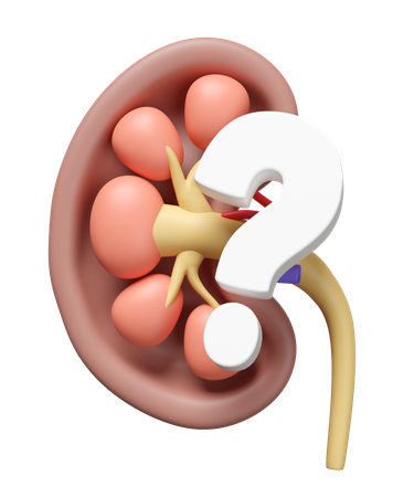 Kidney Help  3D Icon