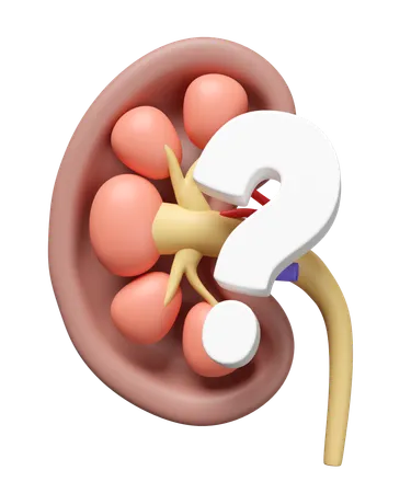 Kidney Help  3D Icon