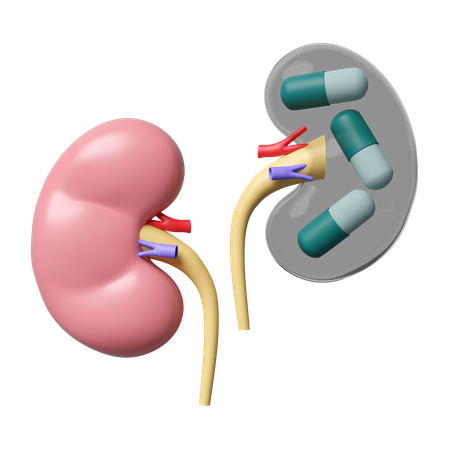 Kidney Medicine  3D Icon