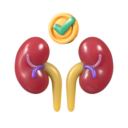 Kidney nephrons  3D Icon