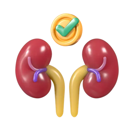 Kidney nephrons  3D Icon