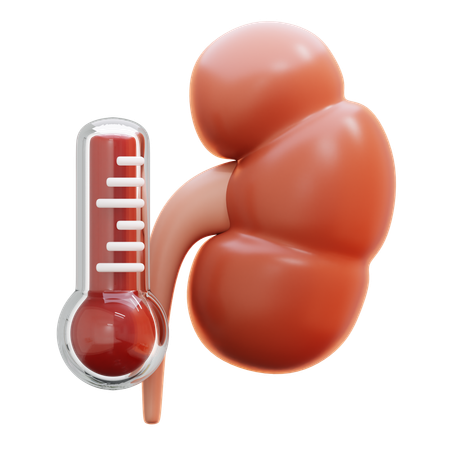 Kidney pain  3D Icon