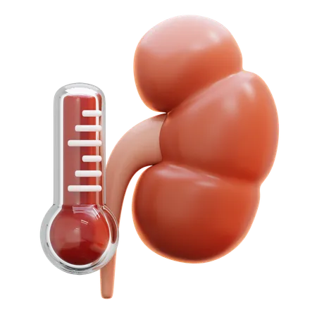 Kidney pain  3D Icon