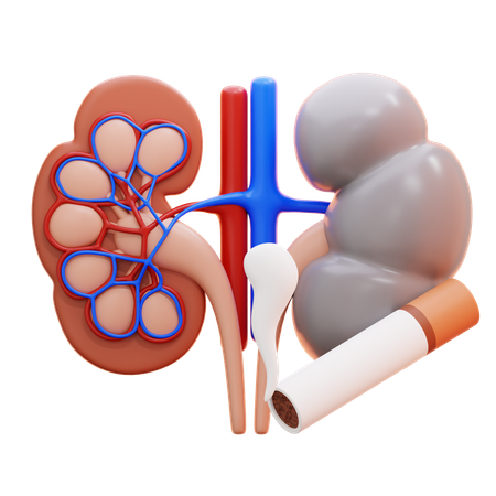 Kidney sick  3D Icon