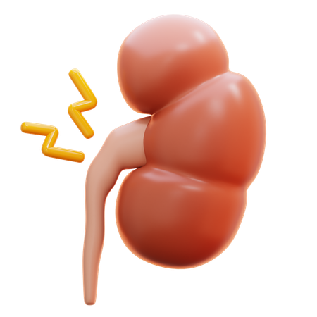 Kidney syndrome  3D Icon