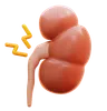 kidney syndrome