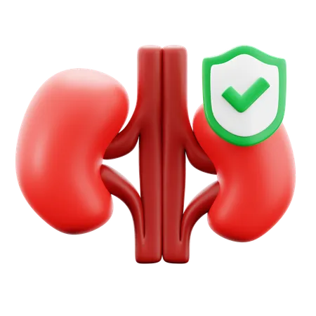 Kidney Body Organ Treatment Care And Health Insurance Medical Hospital 3 D Icon Illustration Render Design 3D Icon