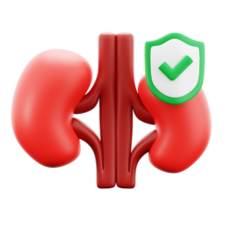 Kidney Transplant  3D Icon