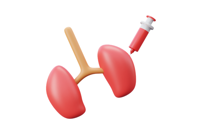 Kidney Treatment  3D Icon