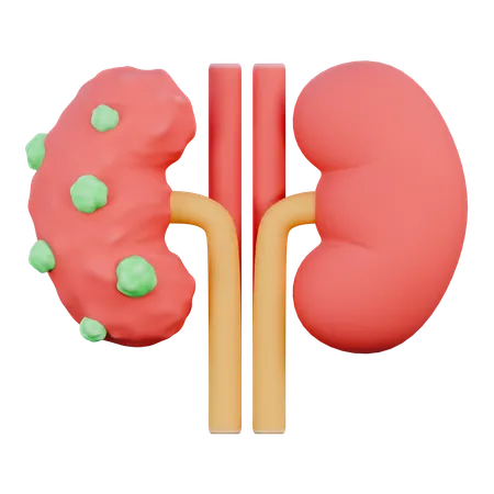 Kidneys  3D Icon