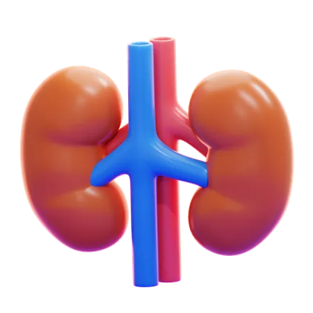 KIDNEYS  3D Icon