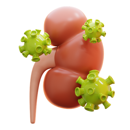 Kidneys affected by virus  3D Icon