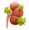 kidneys affected by virus