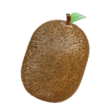Kiwi Fruit 3 D Icon 3D Icon