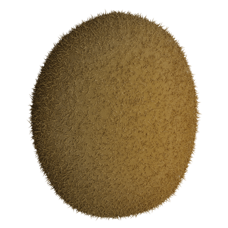 Kiwi  3D Icon