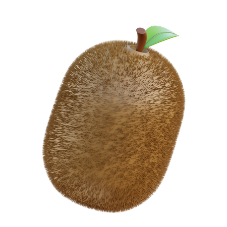 Kiwi  3D Icon