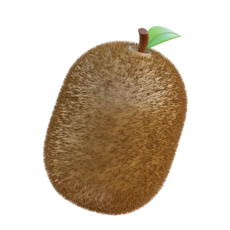 Kiwi  3D Icon