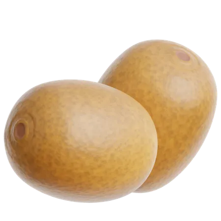 Kiwi  3D Icon