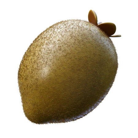 Kiwi  3D Icon