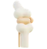 Knee Joint