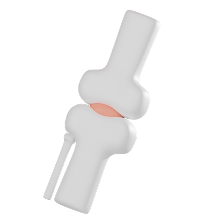 Knee Joint  3D Icon