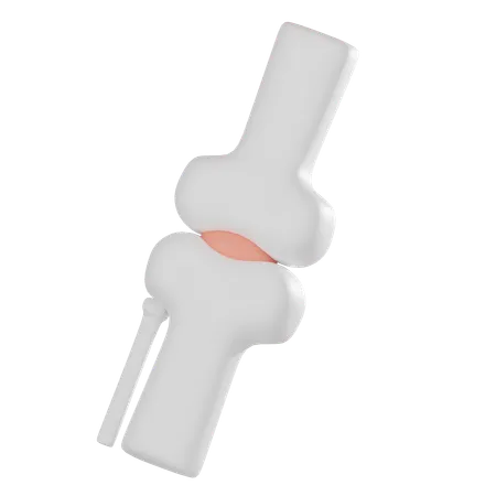 Knee Joint  3D Icon