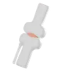 Knee Joint