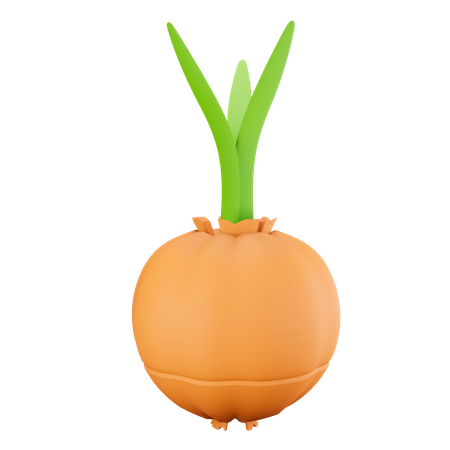 Knoblauch  3D Illustration