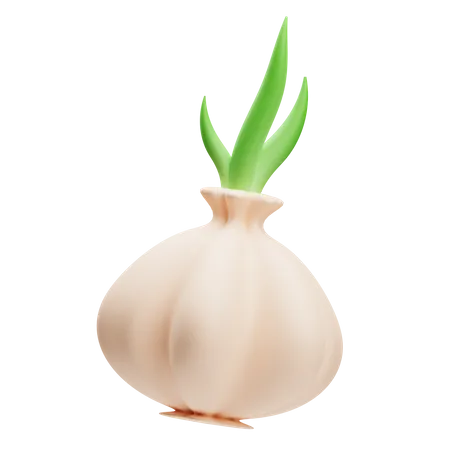 Knoblauch  3D Illustration