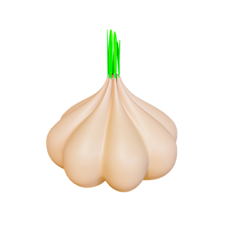 Knoblauch  3D Icon