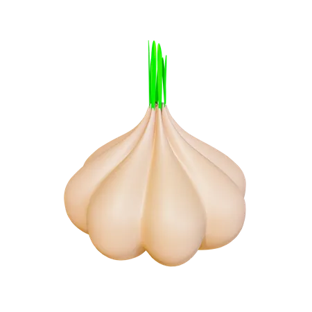 Knoblauch  3D Icon