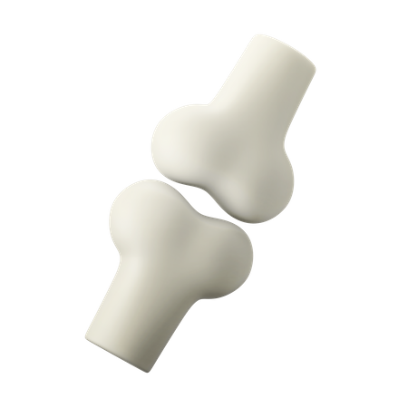 Knochen  3D Icon